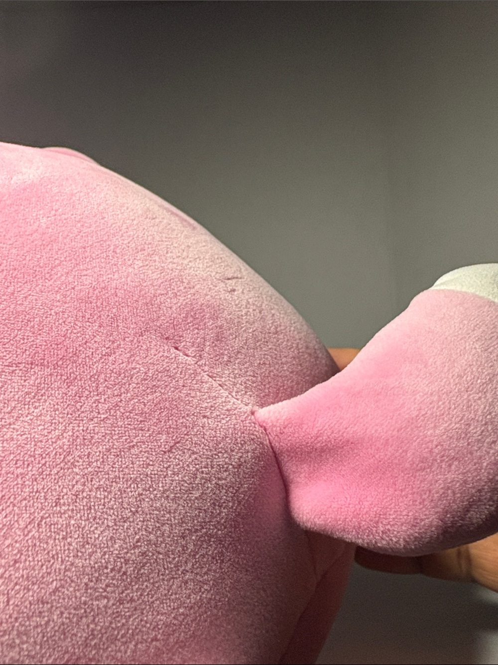 Rhiannon Squishmallows the Fox Pink Plush CUTE!🥰 - Picture 5 of 11
